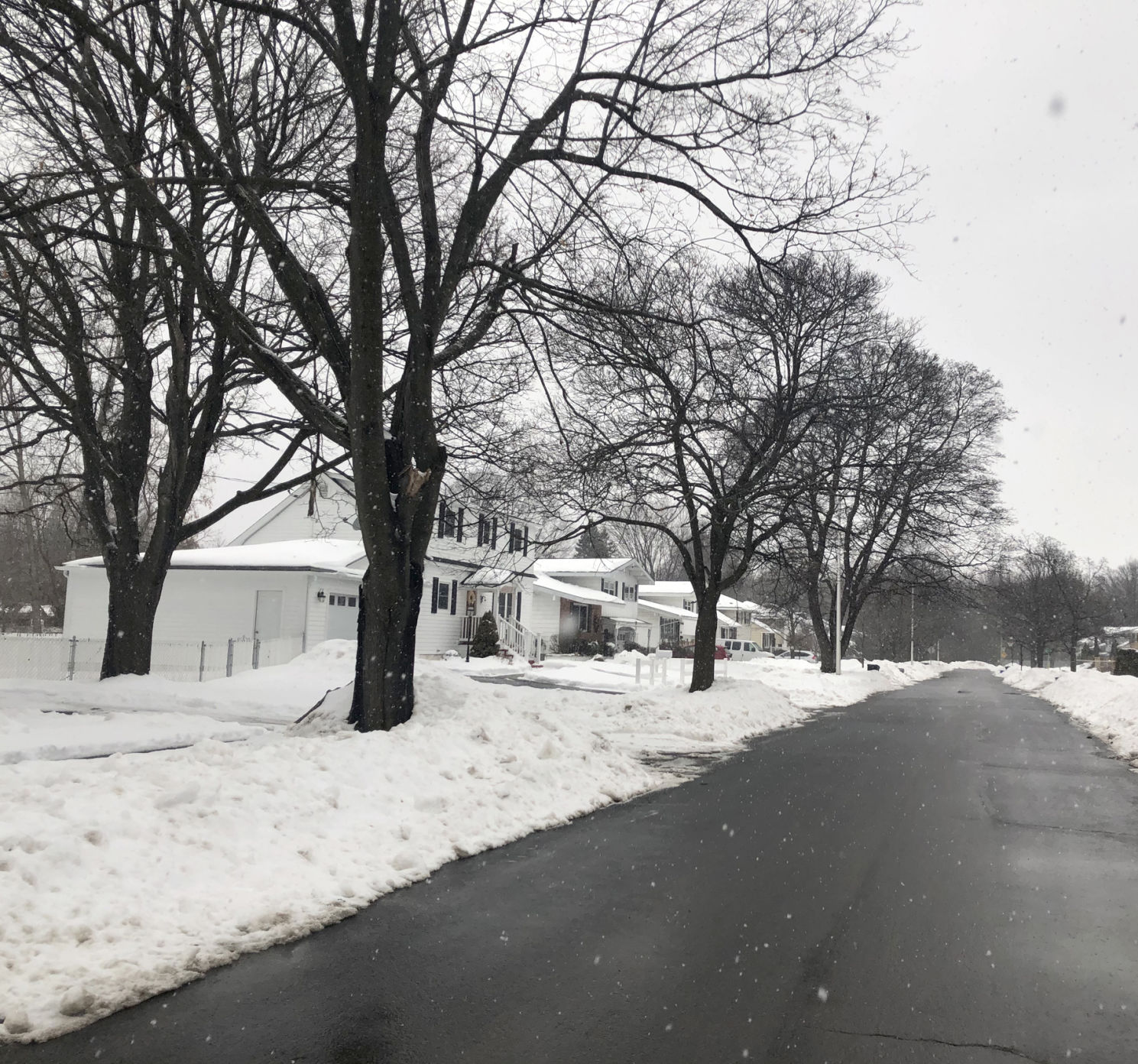Greyscale Snowfall